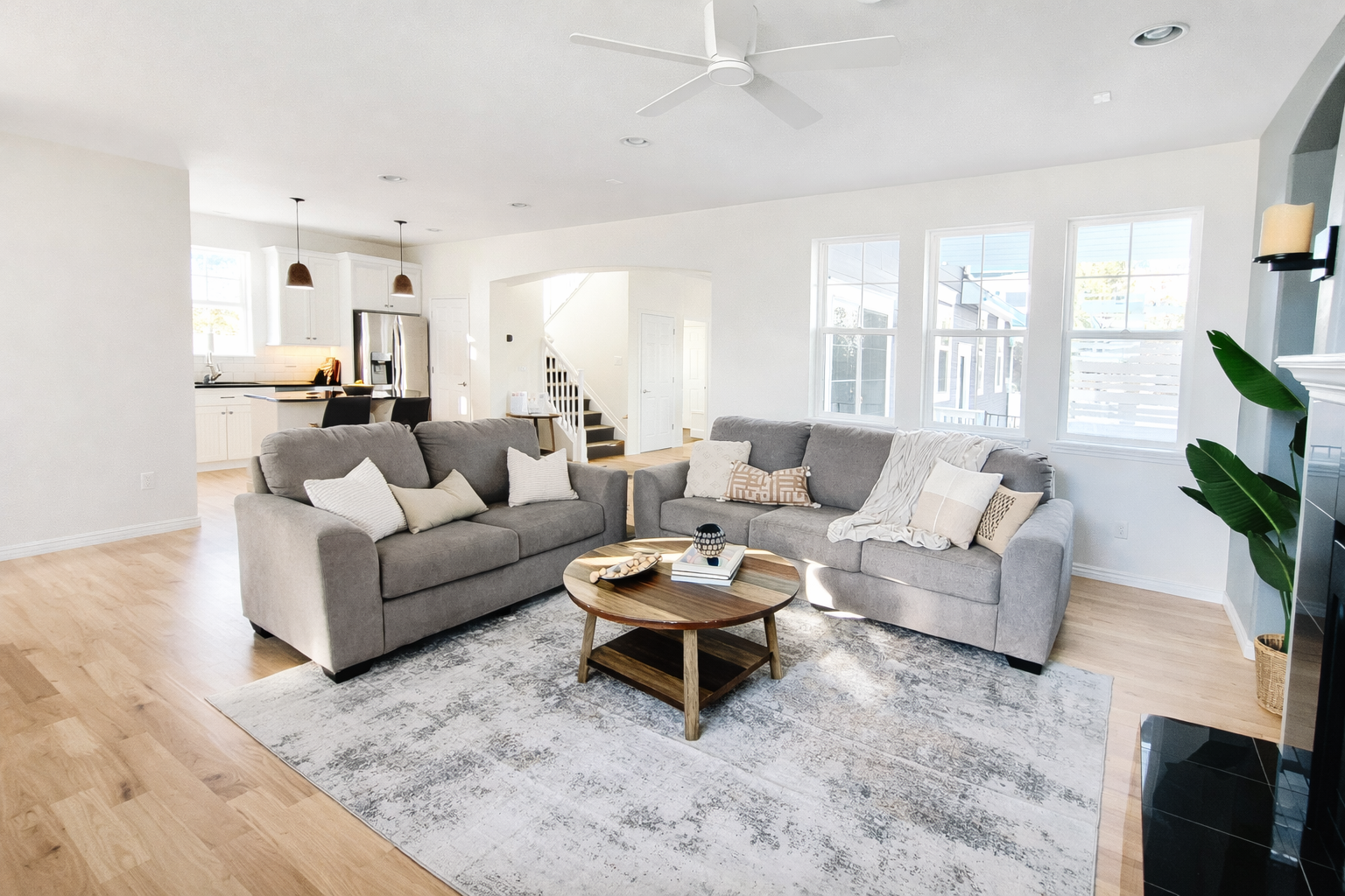 Living Room — Basic Staging
