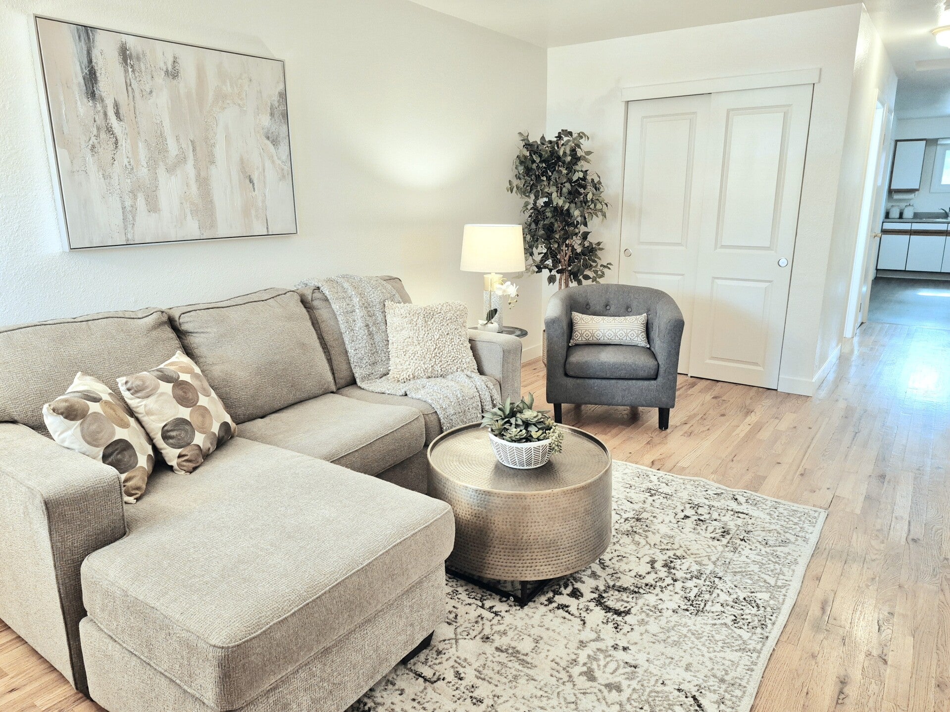 Living Room — Basic Staging
